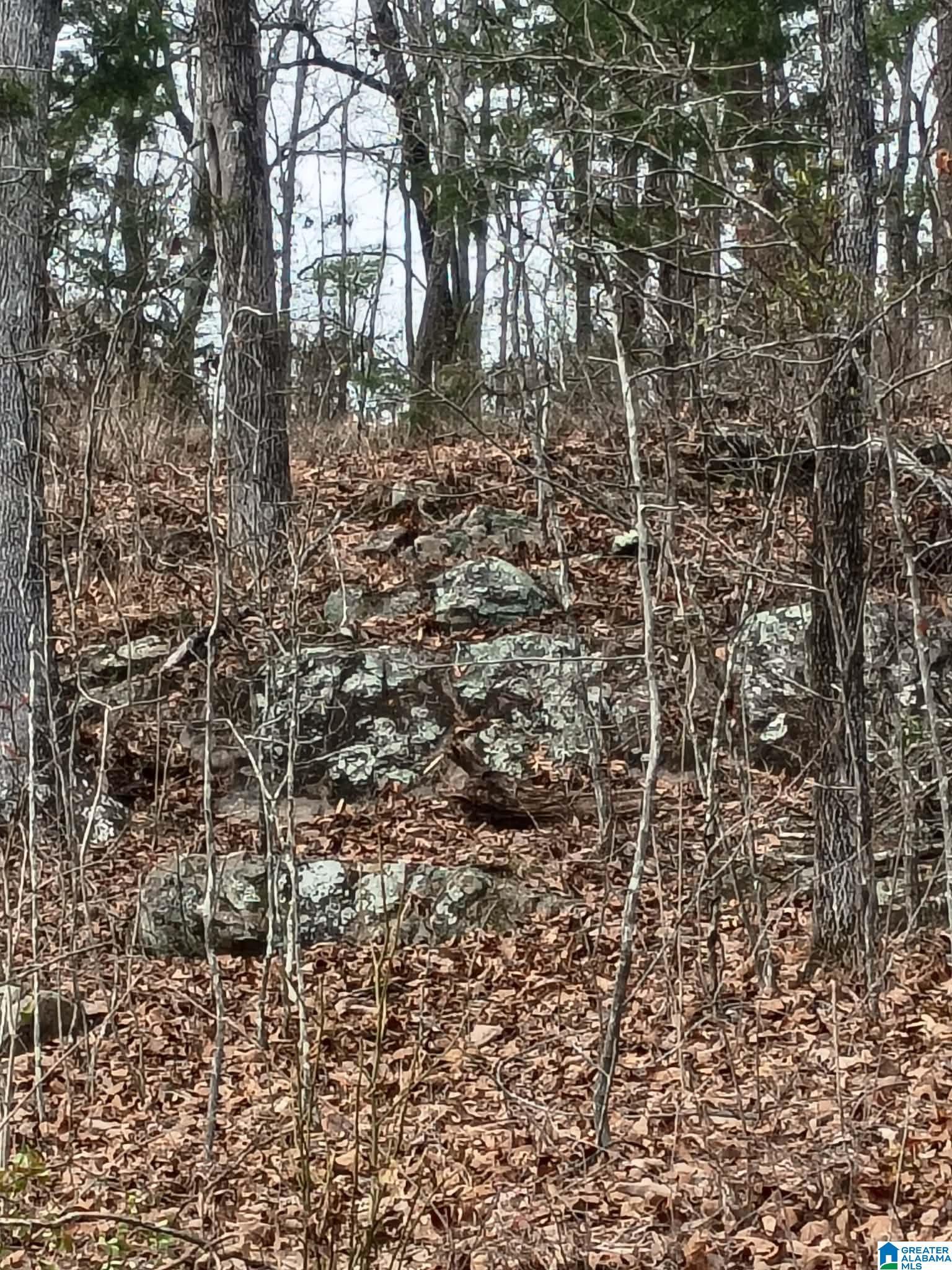 Image 1: Unrestricted 3 Acre Lot