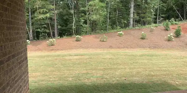 Image 3: Yard