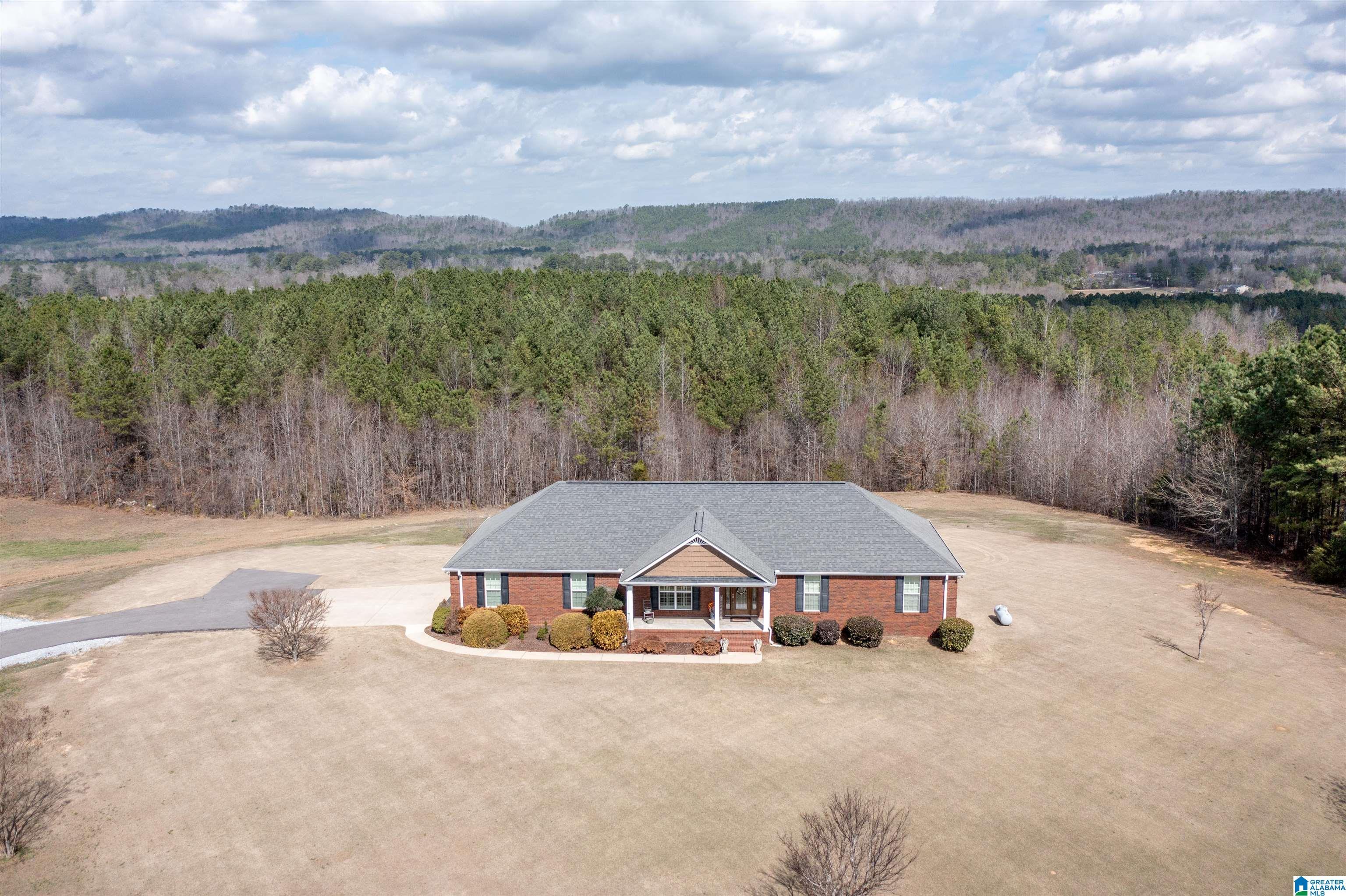 Image 2: Aerial View