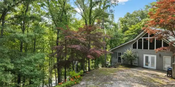 Image 3: Yard