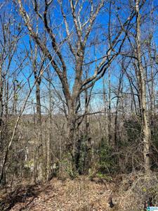 3996 SOUTH SHADES CREST ROAD