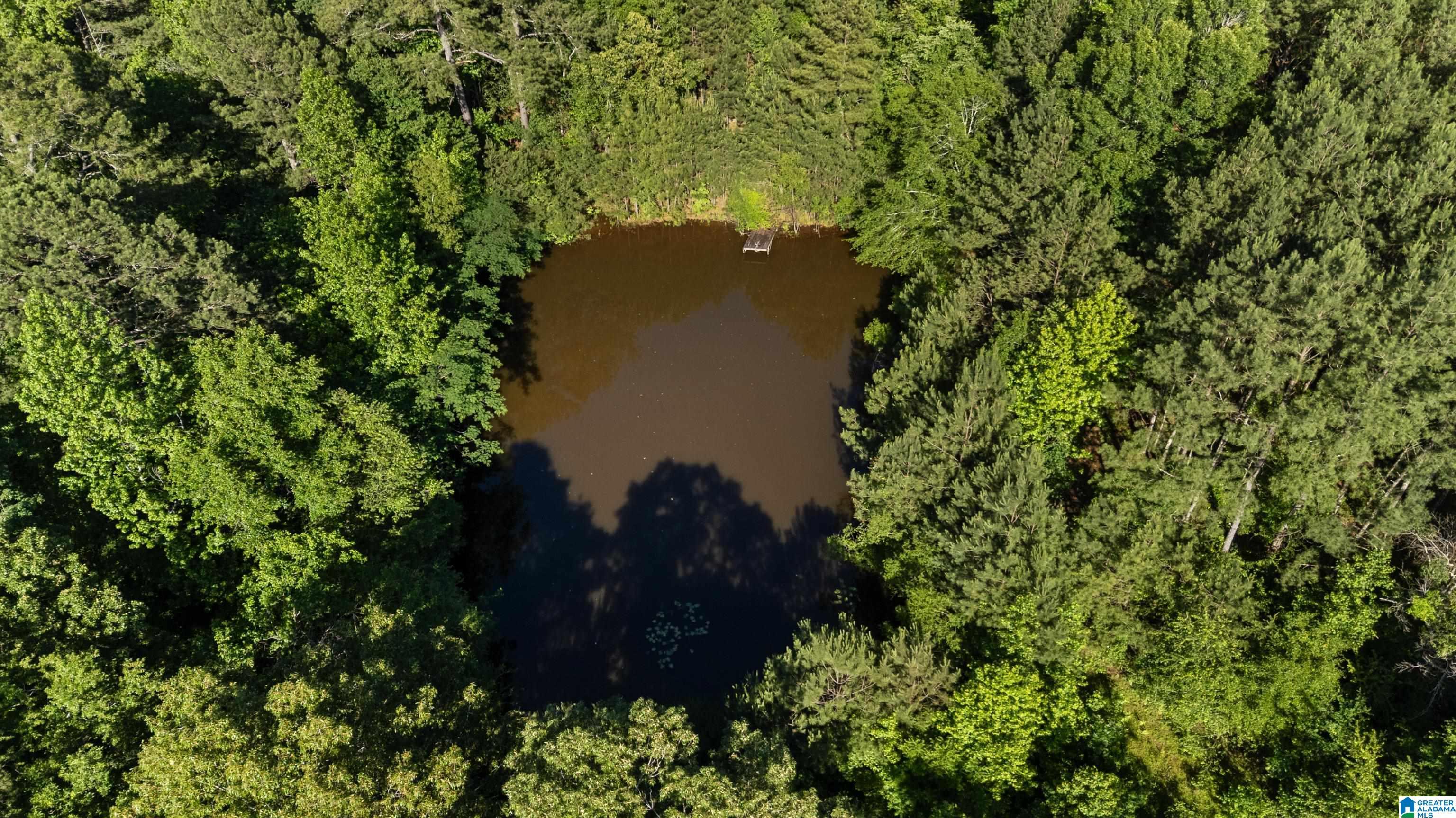 Image 1: POND ON LAND