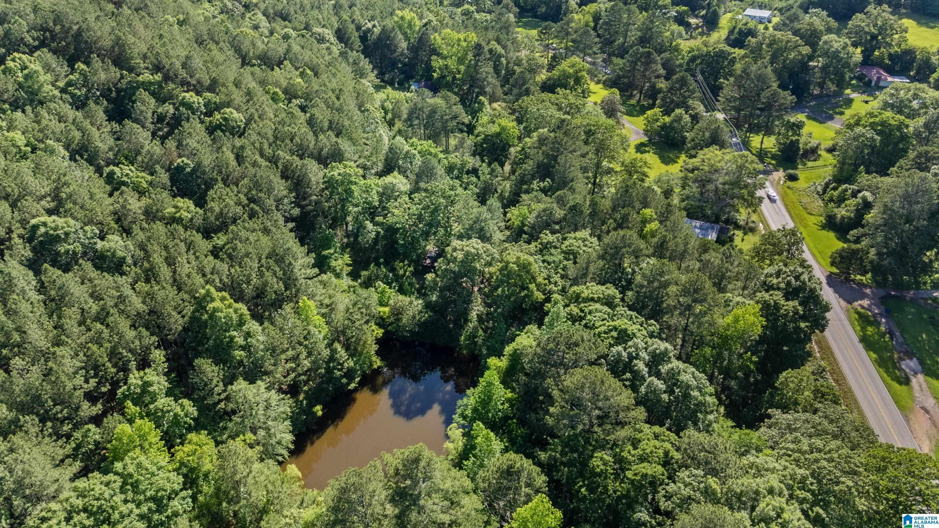 Image 2: POND ON LAND