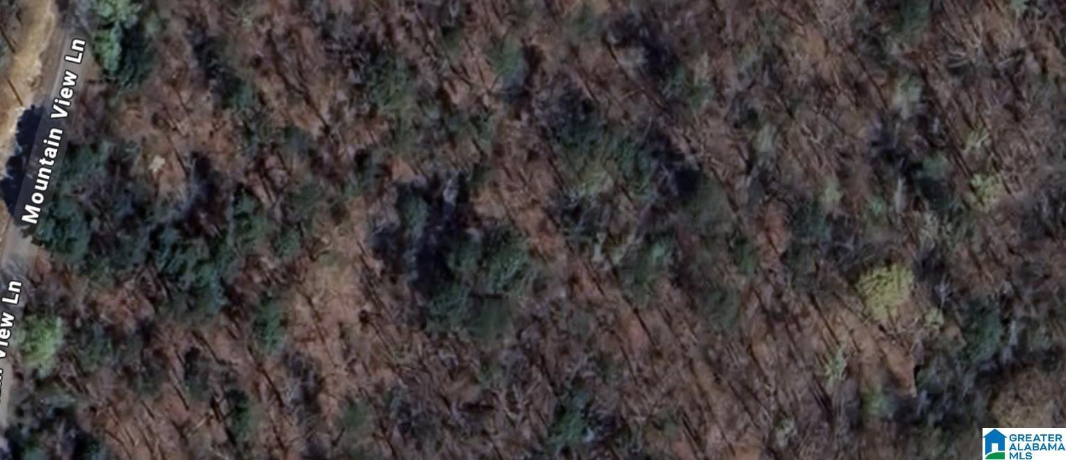 Image 2: Open Rural Area