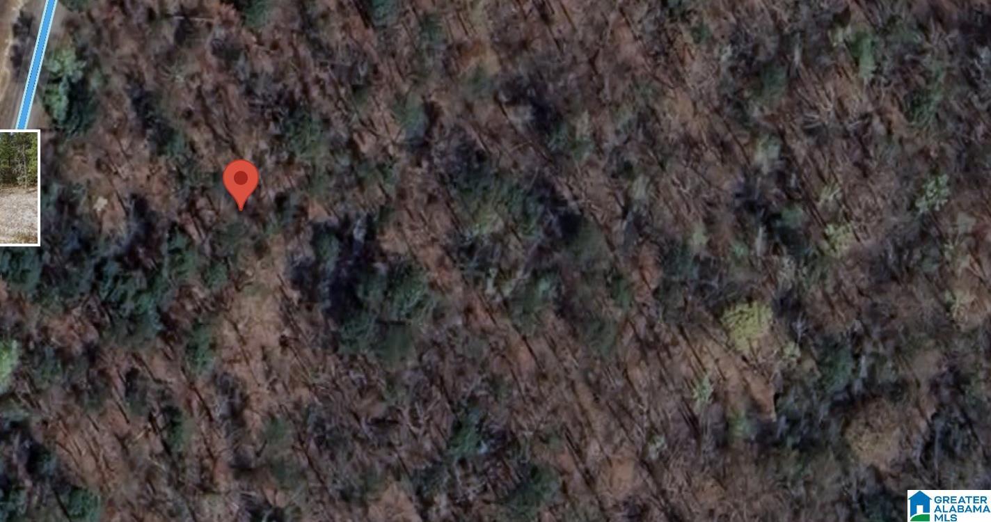 Image 4: Large .51 Lot