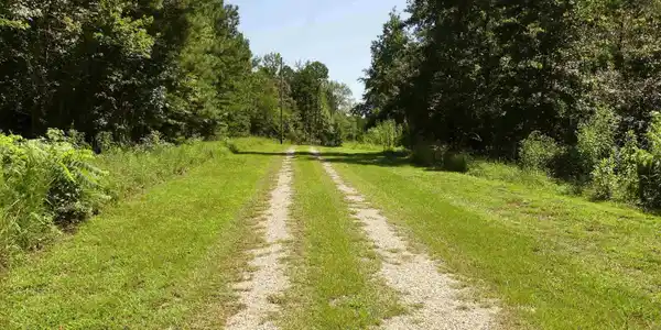 Image 3: GOOD INTERIOR ROAD TO LOT
