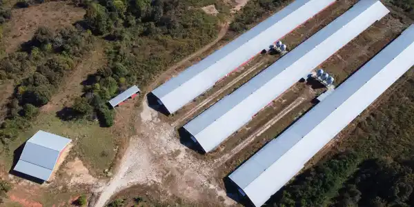 12994 COUNTY ROAD 65