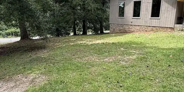 Image 3: Yard