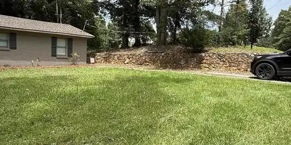 Image 4: Yard