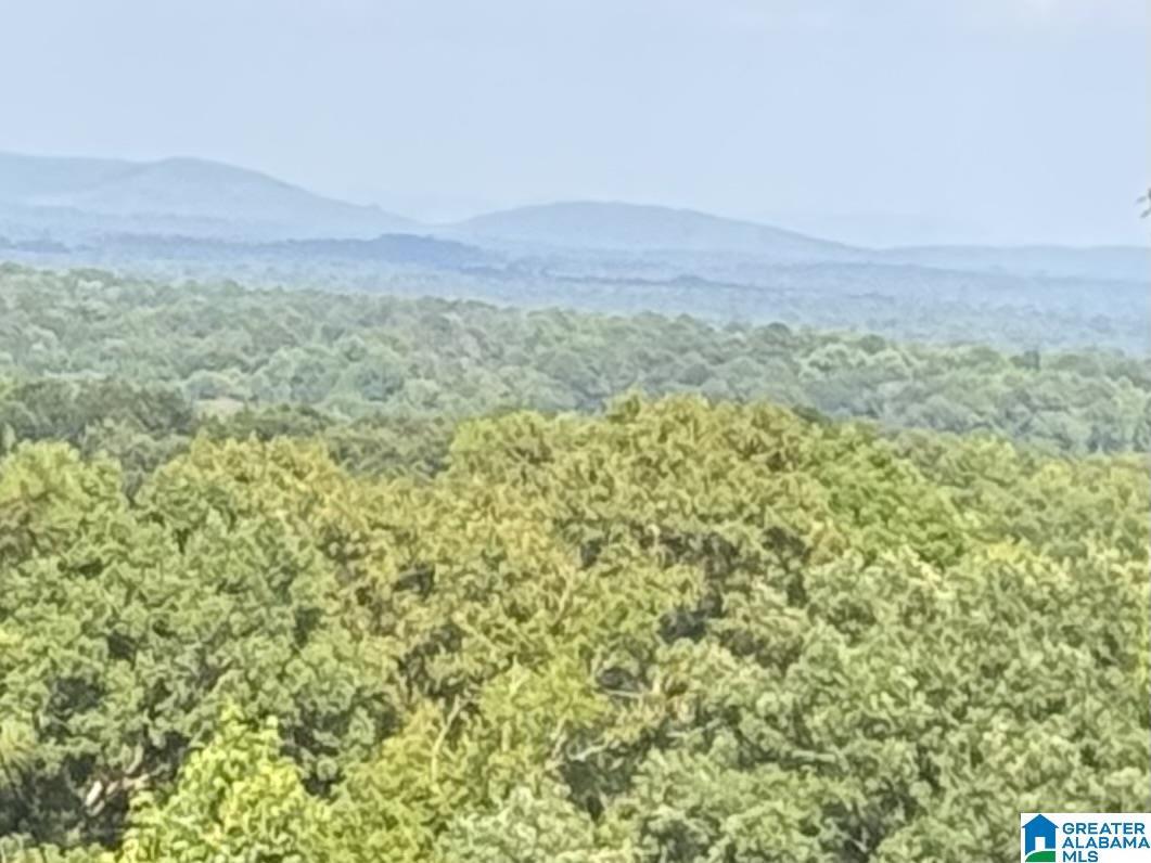 Image 1: Spectacular view from the build site