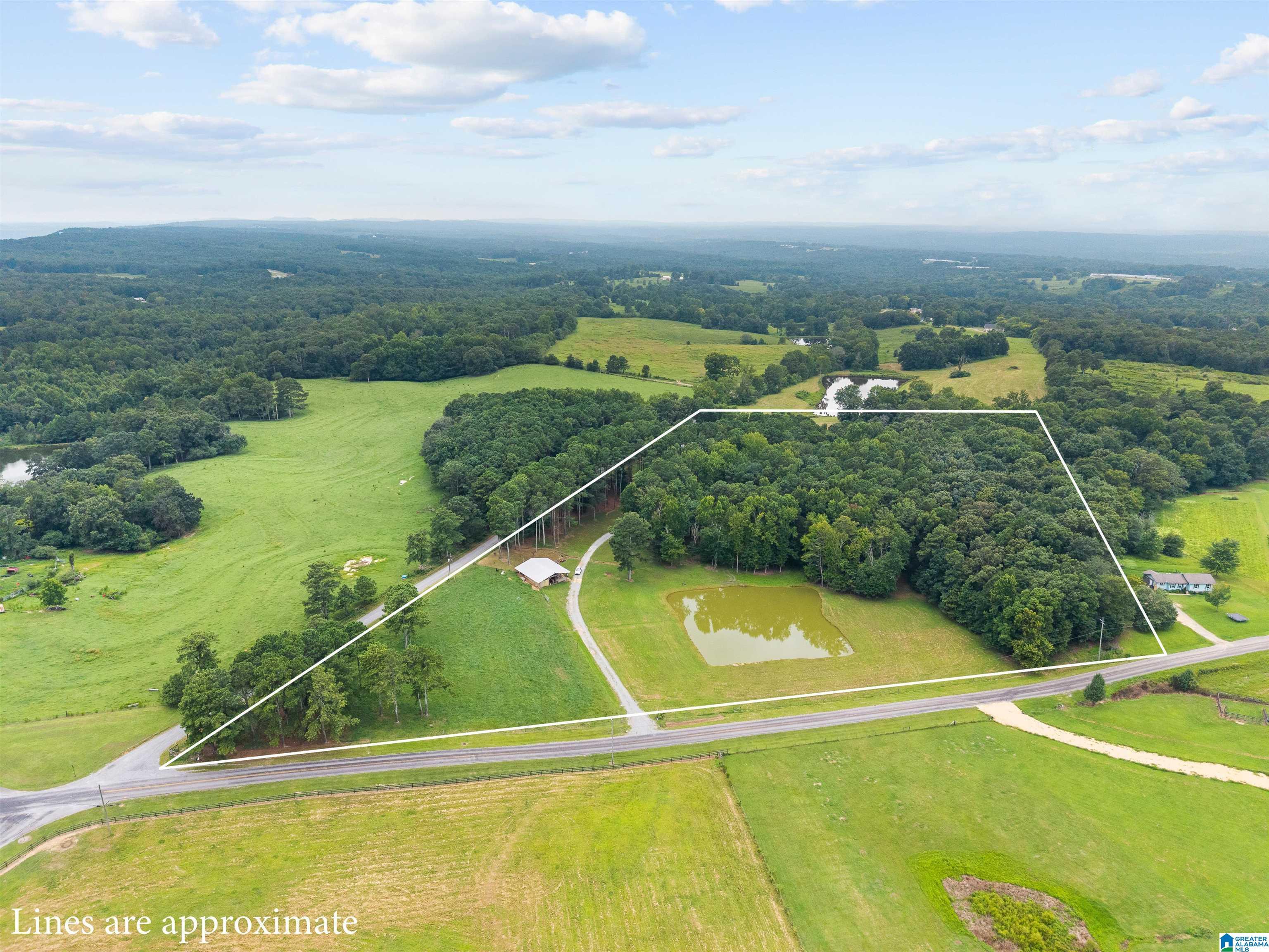 Image 1: 9869 CO Hwy 24 Oneonta AL - Straight Mountain