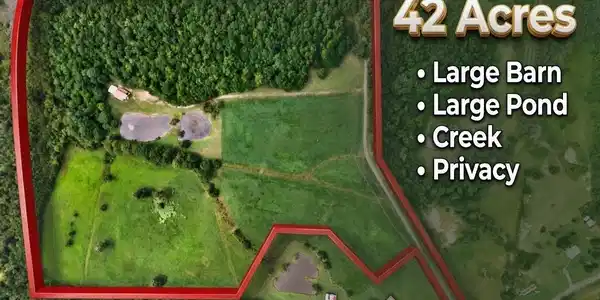1261 DOGWOOD LANE