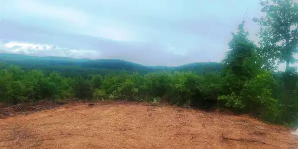 Lot 37 acres NEW LIBERTY ROAD