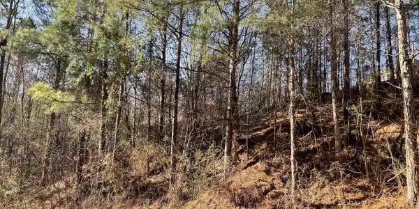 5010 CREEK BLUFF