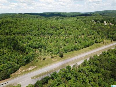 Lot #1 HIGHWAY 75