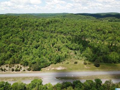 Lot #4 HIGHWAY 75