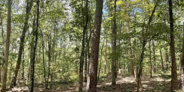 1050 COUNTY ROAD 329