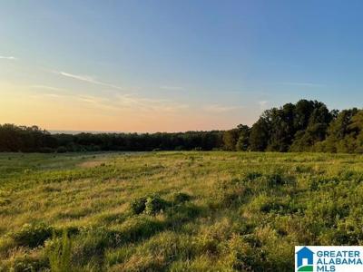 Lot 1 JONES CHAPEL LOOP ROAD