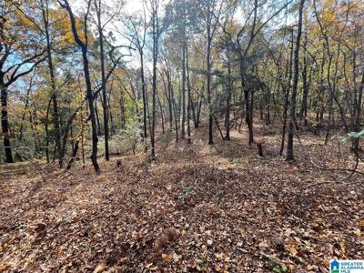 36 acres COUNTY ROAD 30