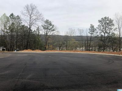 Lot#1 EAGLE POINT DRIVE