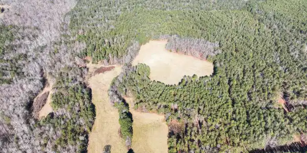 37+/- Acres COUNTY ROAD 632