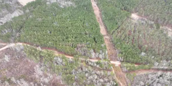 20+/- Acres COUNTY ROAD 249