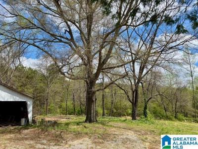 931 COUNTY ROAD 831
