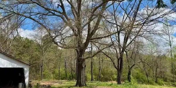 931 COUNTY ROAD 831