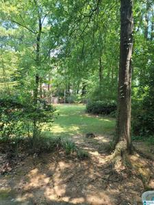 2134 MONTREAT WAY