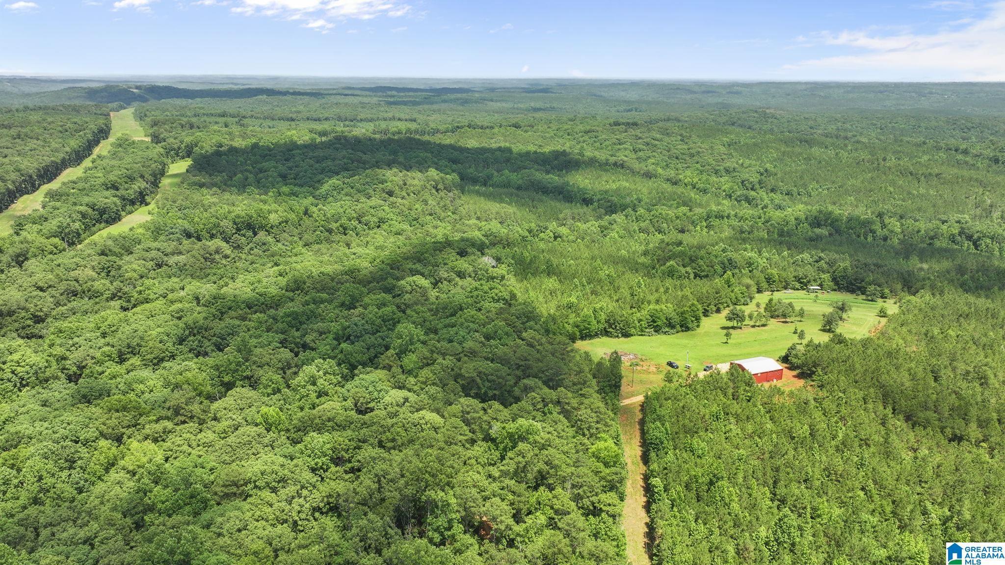 Image 3: Aerial View