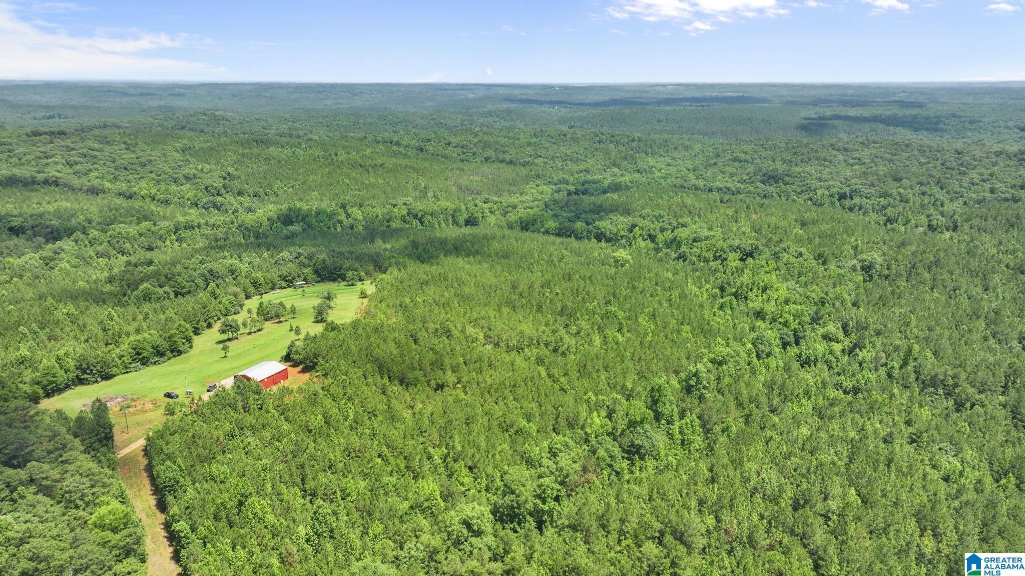 Image 4: Aerial View