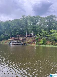 355 MARION PEAK LANE