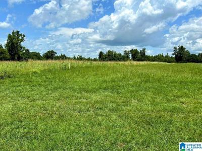 4.15 acres N HAGLER ROAD