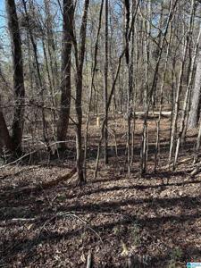 255 FIELDCREST DRIVE