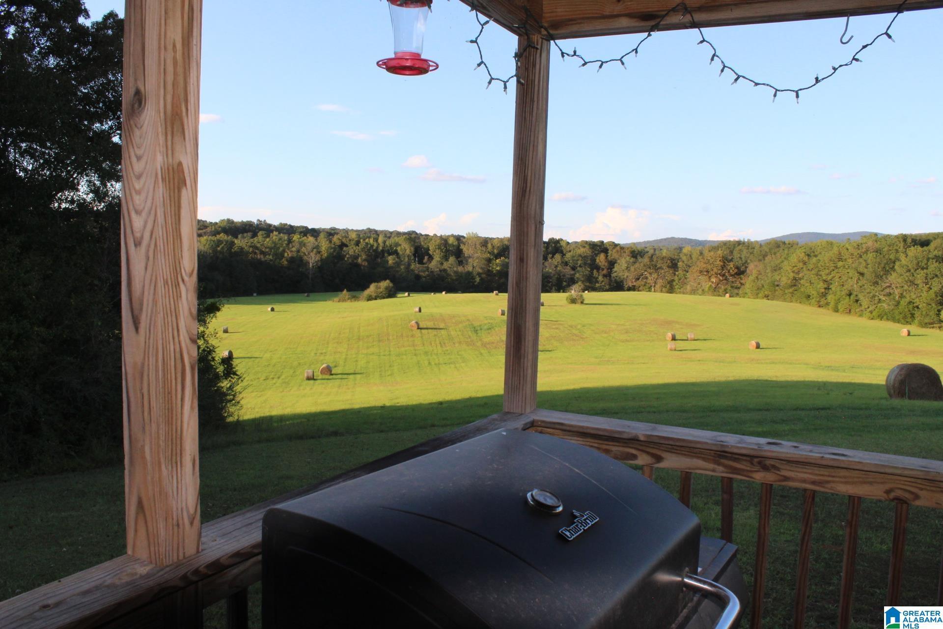 Image 4: Pasture
