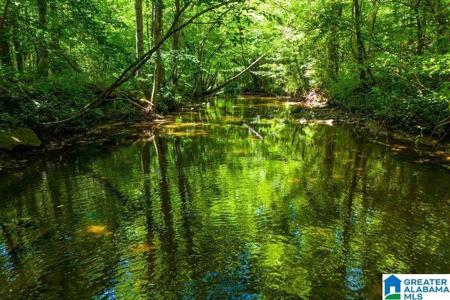 250 ACRES COUNTY ROAD 540