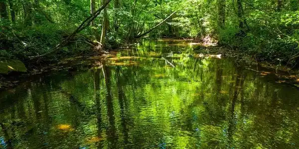 250 ACRES COUNTY ROAD 540