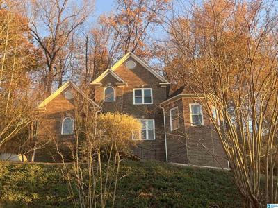 160 BRIDGE DRIVE