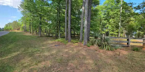 Image 3: Yard