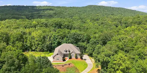 Image 3: Aerial View