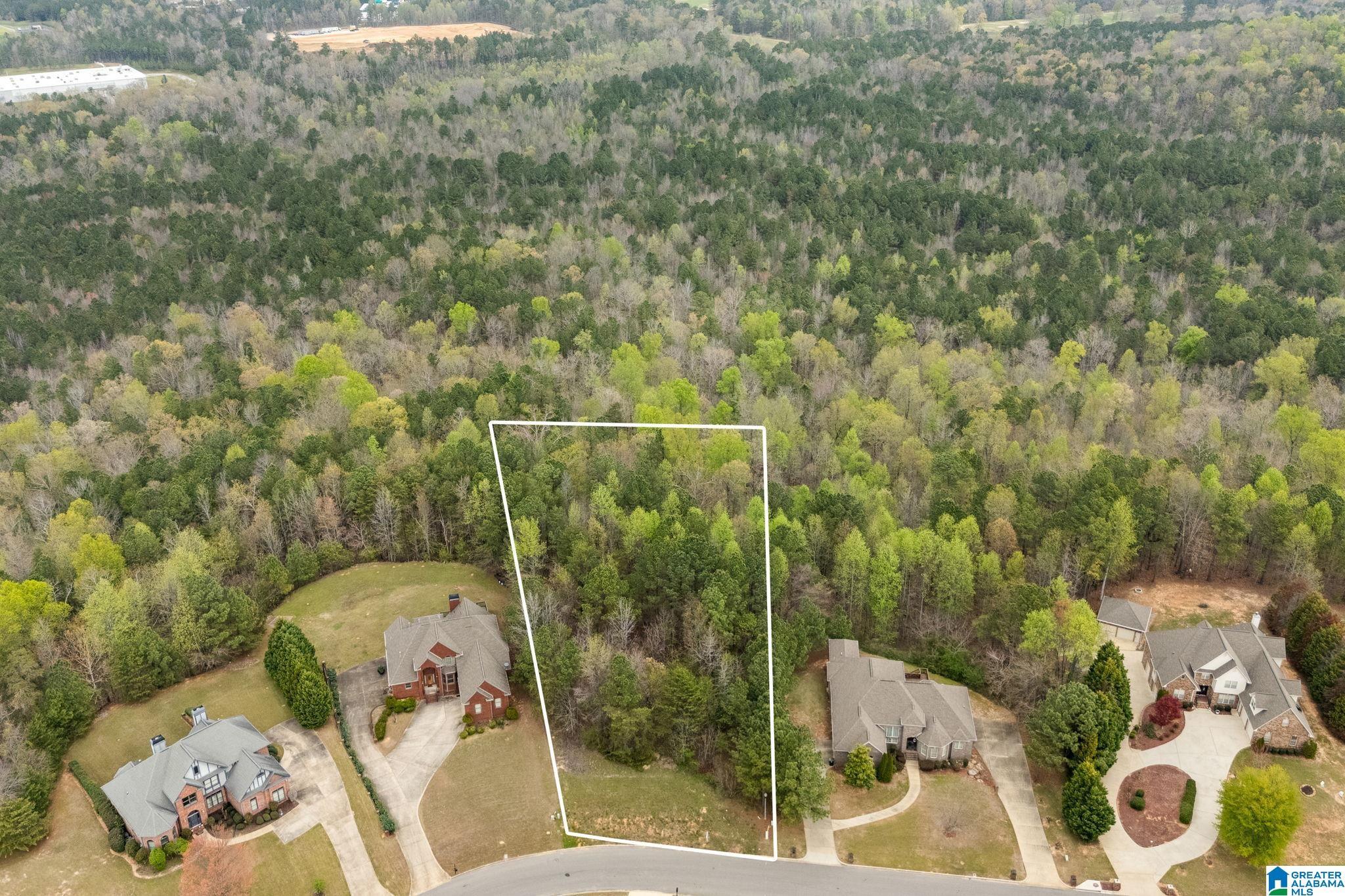 Image 1: Aerial View