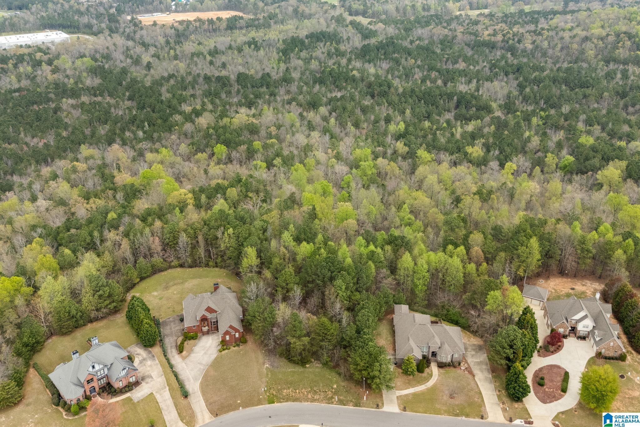 Image 2: Aerial View