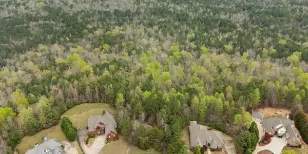 Image 2: Aerial View