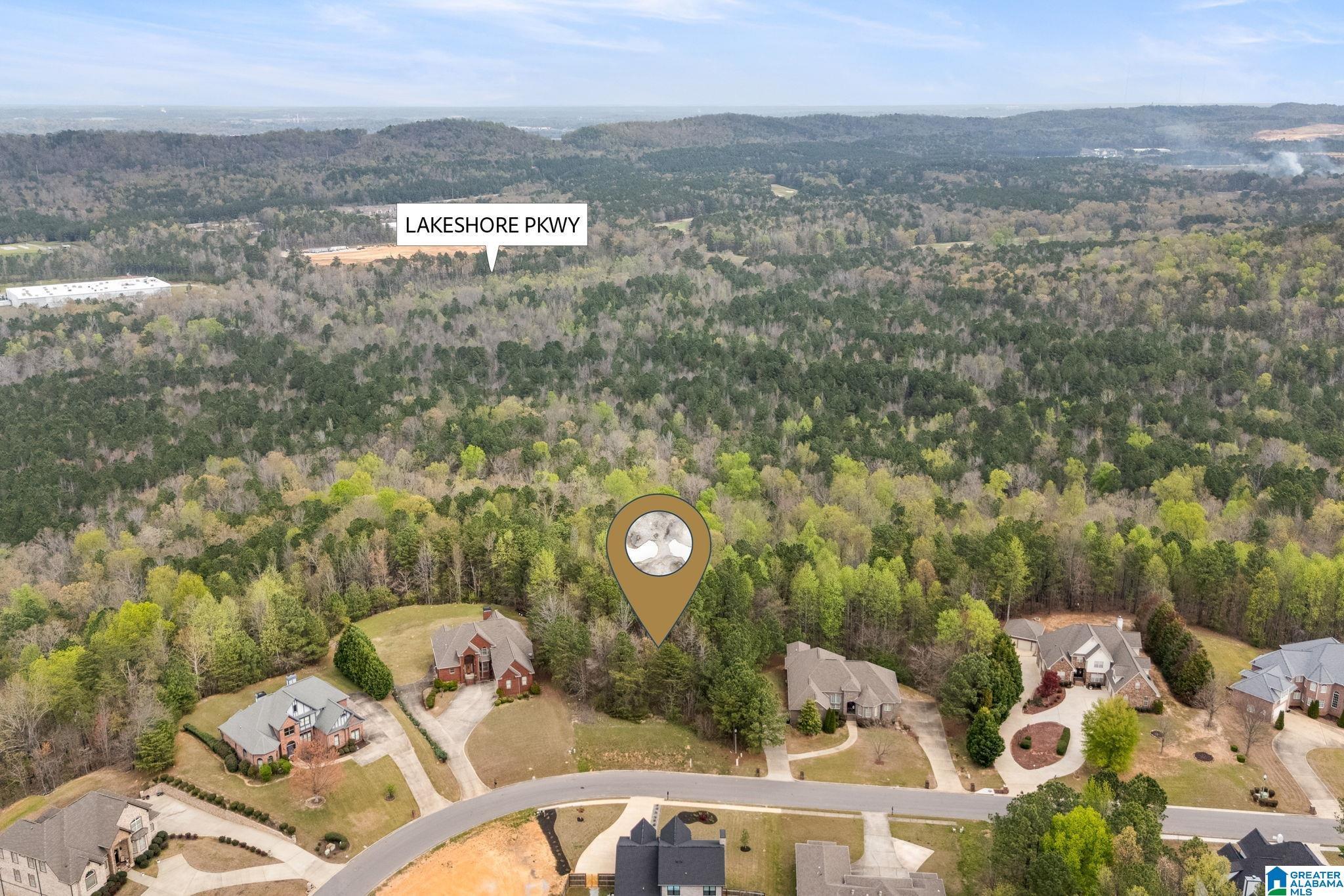 Image 3: Aerial View