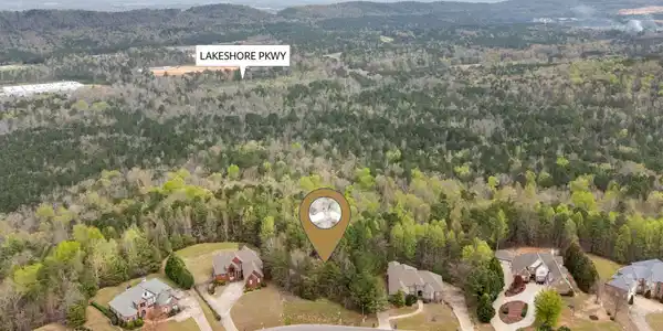 Image 3: Aerial View