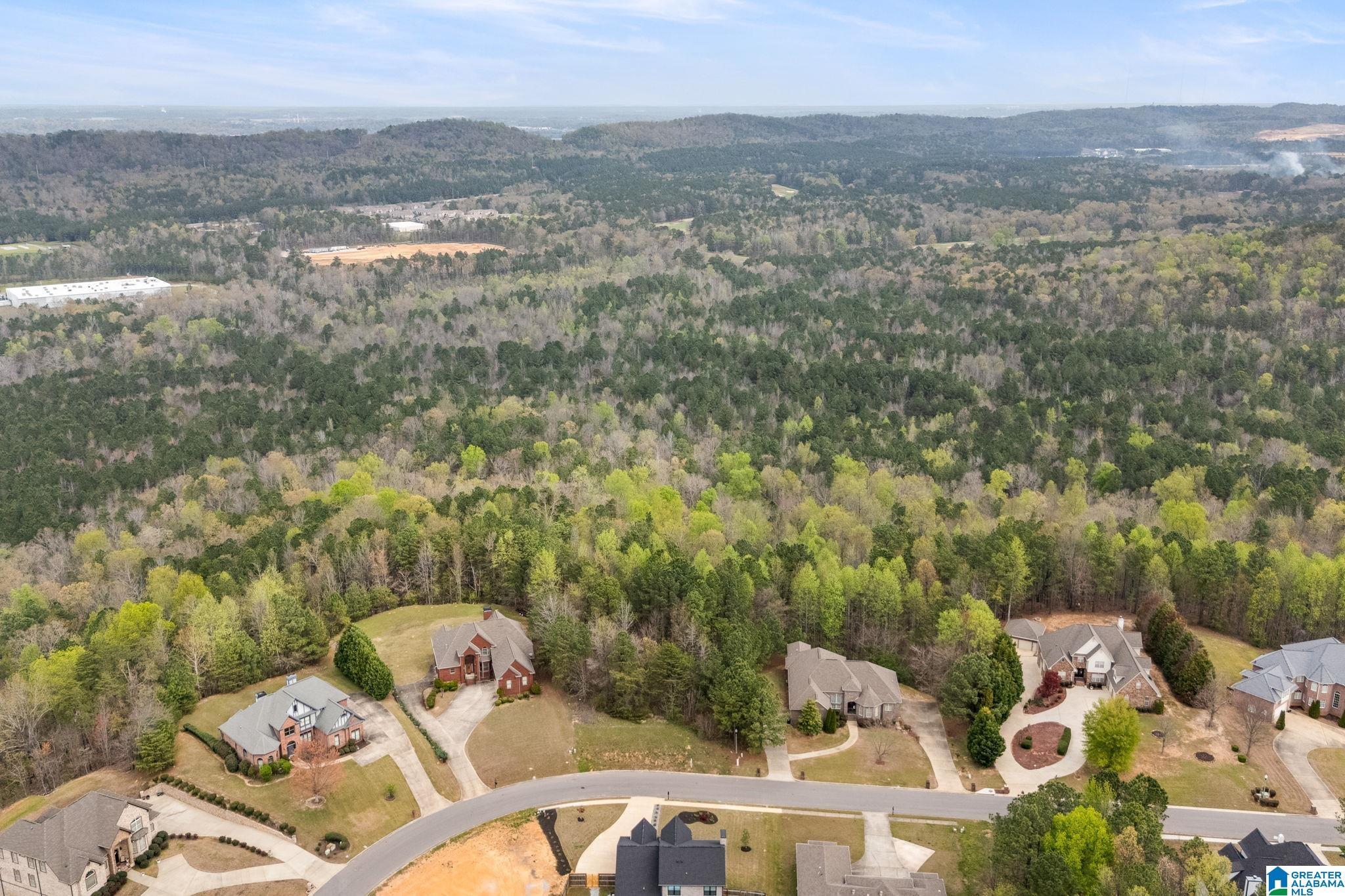 Image 4: Aerial View