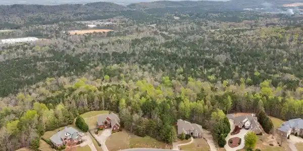 Image 4: Aerial View