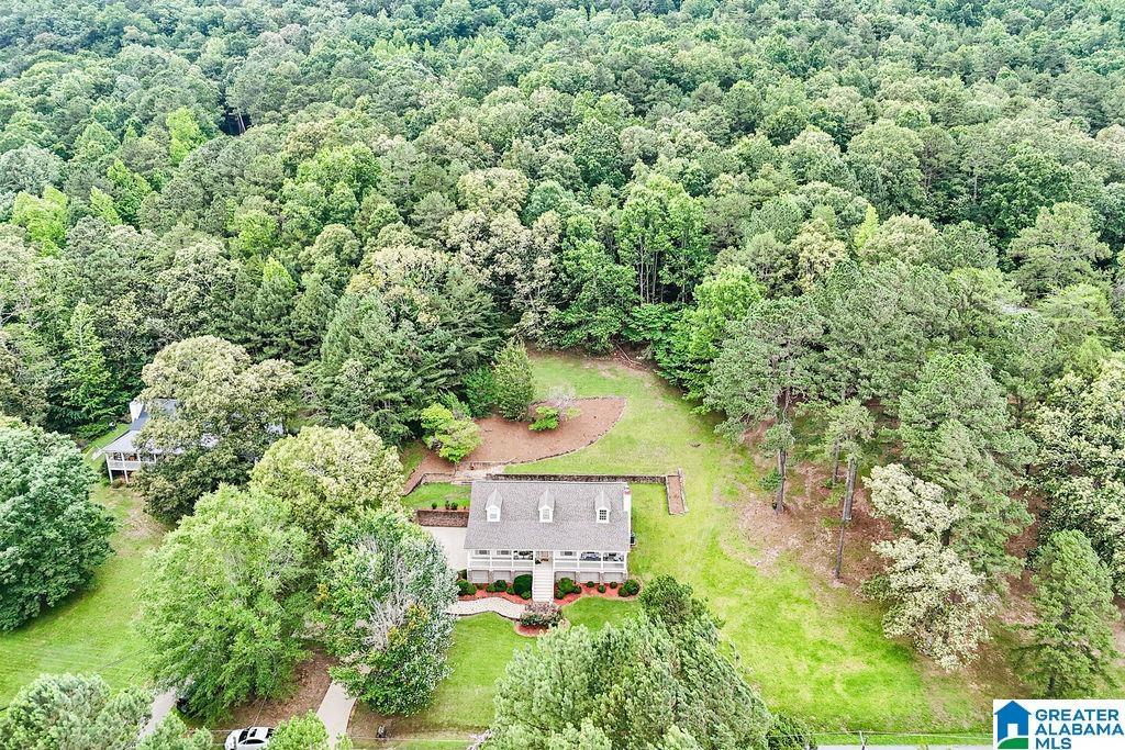 Image 1: Level wooded area in the back half of property.