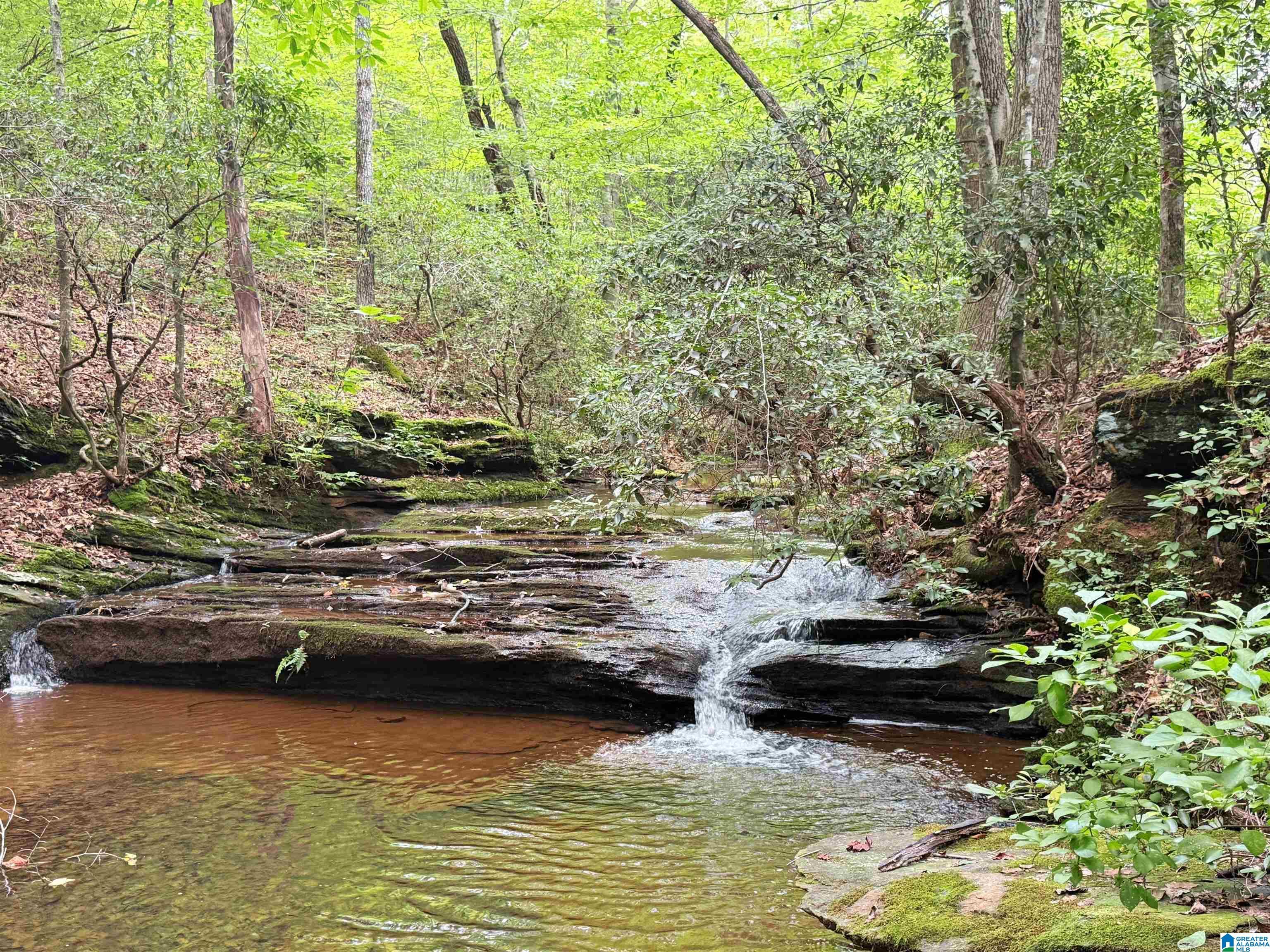 Image 3: Horton Shoal Creek