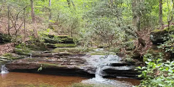 Image 3: Horton Shoal Creek